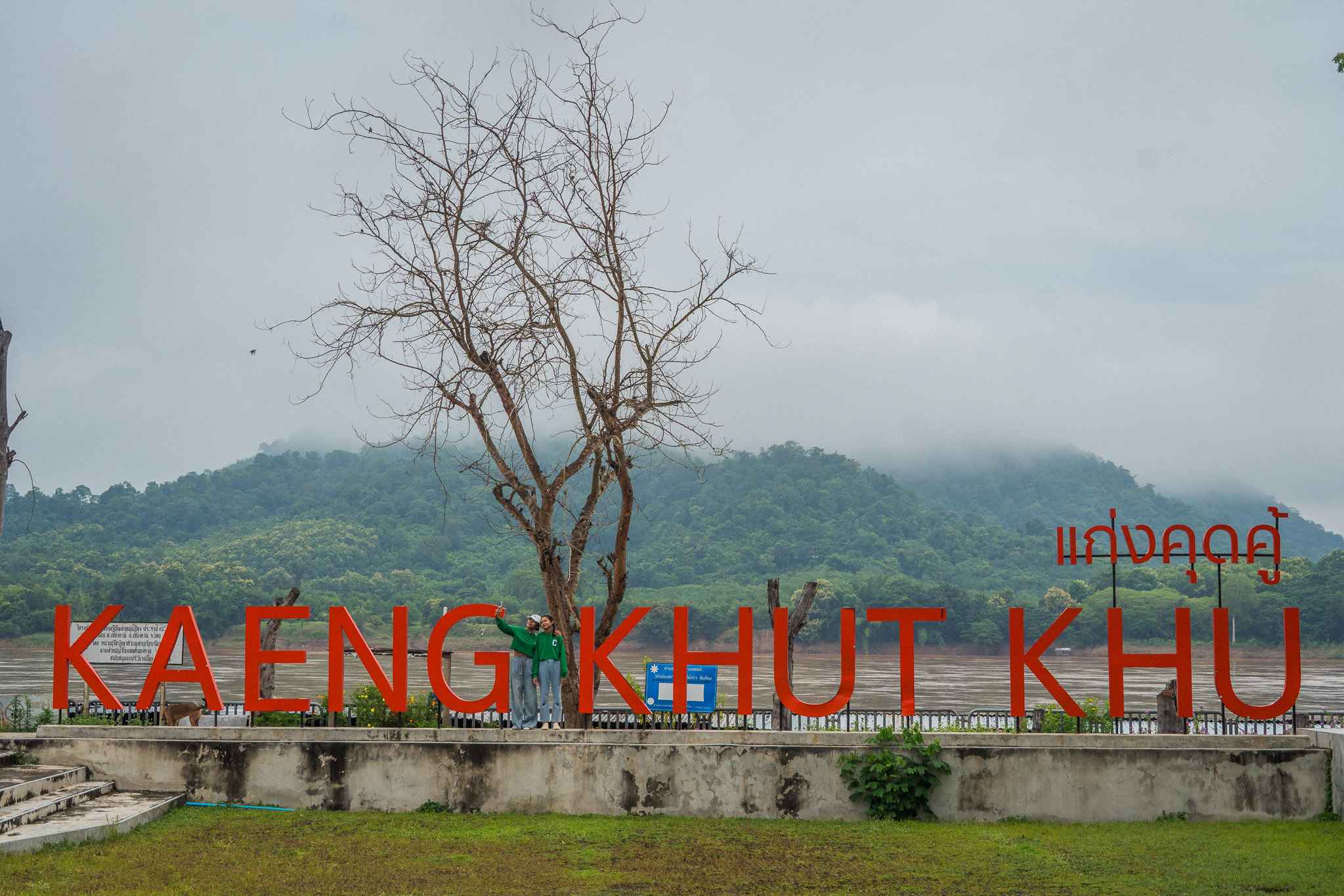 Batch Dsc01983